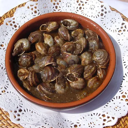 ホテル Masia Del Cadet エスプルガ・デ・フランコリ